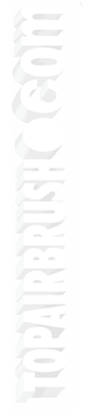 topairbrush video logo